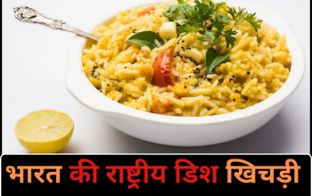 What is the national dish of India