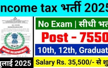 Income Tax Recruitment 2025